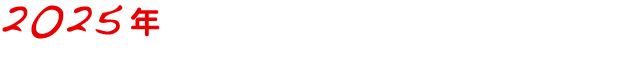 2025年